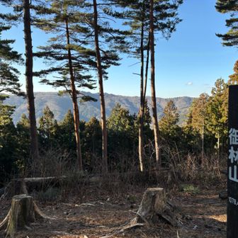 仲の平バス停からスタートして小一時間
本日最高峰は1078メートル
それにしても風が強い
花粉飛び始めたら目と鼻が死ぬ