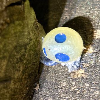 いたぁꕀ⋆ꕀ⋆😄