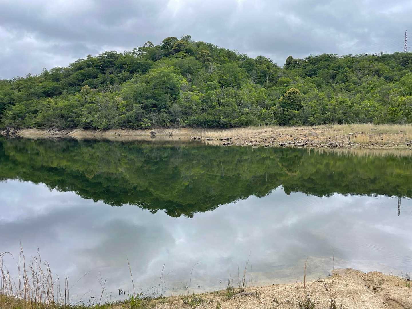 綺麗に鳴滝池に映ってます