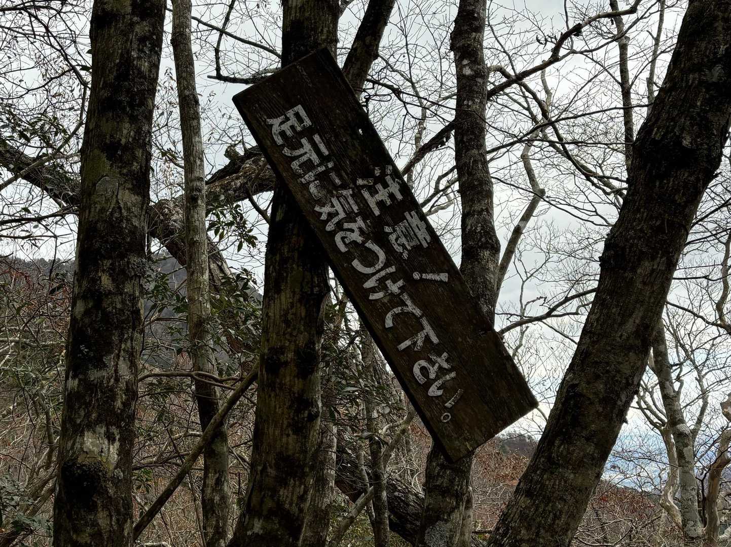 あなたも落ちないように気をつけてね🤭
