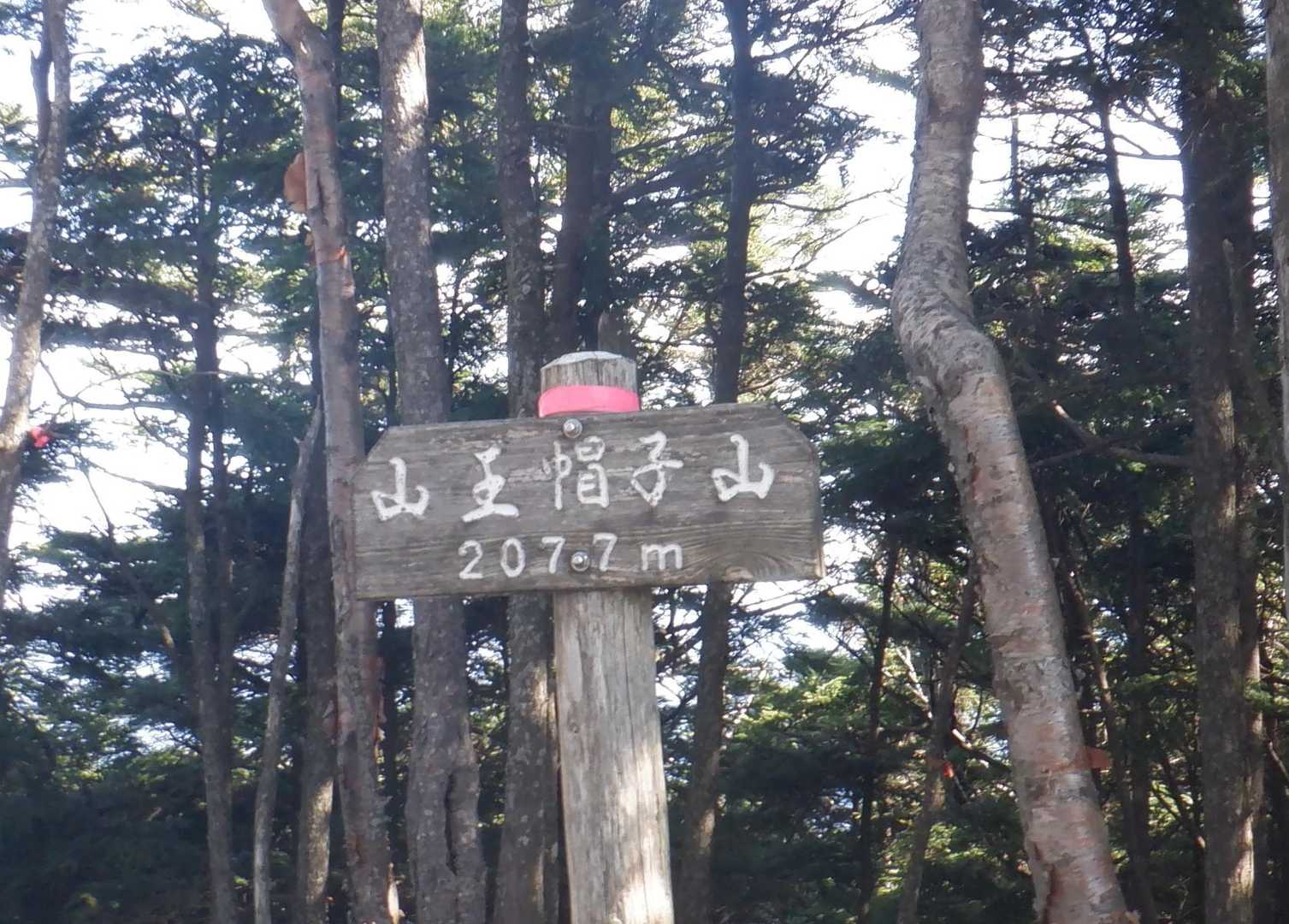 山王帽子登頂。