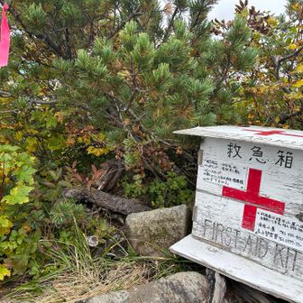 緊急事態には助かります🆘