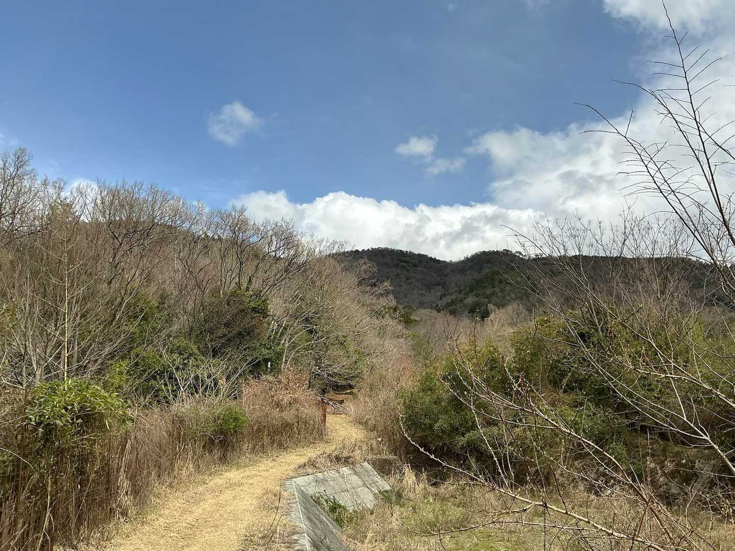 あの山に行ってました^ ^

急登、急坂のお山でした(￣▽￣;)
赤ちゃんレベルの私には、レベルが高すぎたお山でした。
