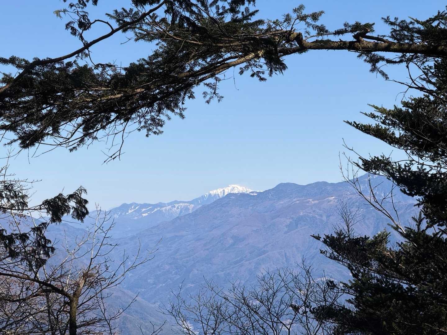 仙丈