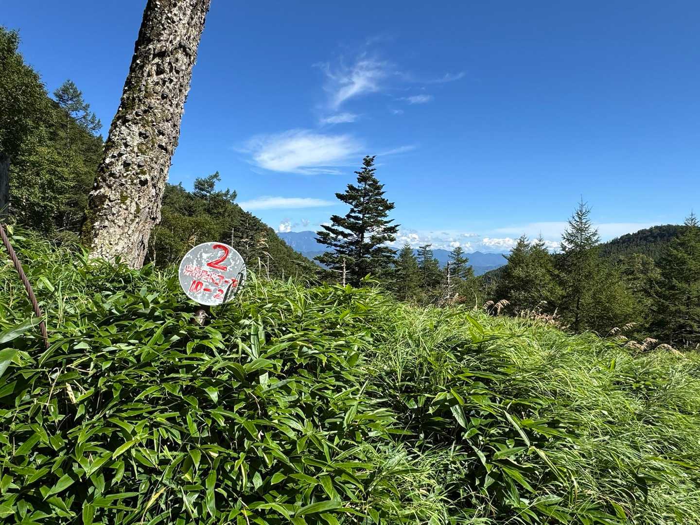美し森駐車場発着｜真教寺尾根・赤岳・県界尾根周回コースの写真