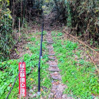 スタート
🅿️あり。(K自動車だと4台位)
🚻なし。
駐車場までの道、狭かったです。