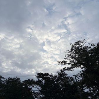 中々晴れない