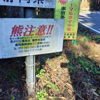 おはようございます。ここは愛鷹登山口バス停。