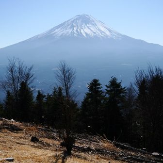 足和田山の山頂に到着…どうしても霞んでます。