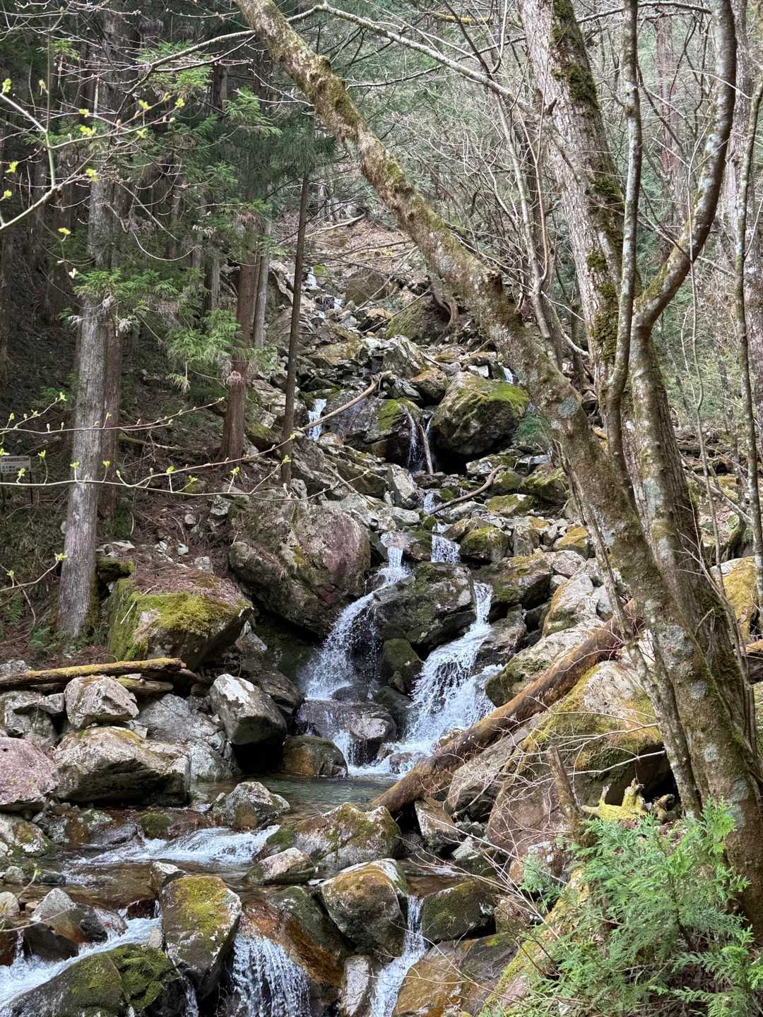 沢沿いなので涼しいが湿気も…