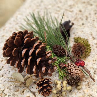 やわらかな松飾り
kazuさん作