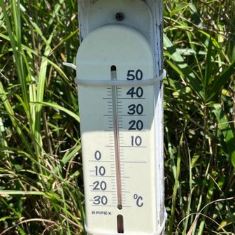 本日の山頂気温28度近くですが体感は30度超え