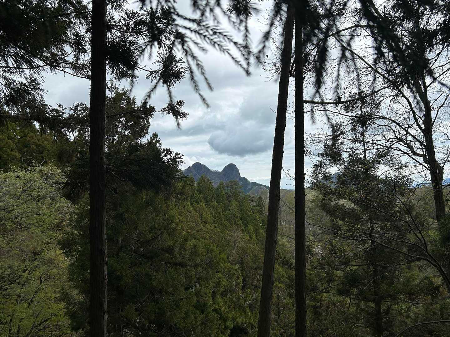 チラリズム鹿岳