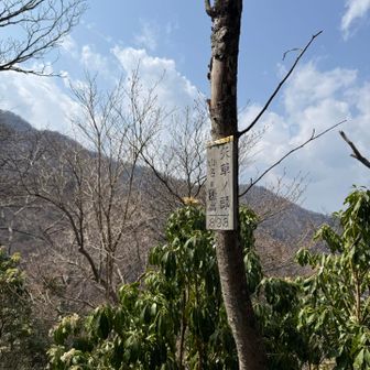 ひっそりと、ピーク