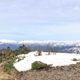 西には雪の連峰✨ 谷川岳から新潟の山々🏔️
どこまでも続く景色に至福の時間です