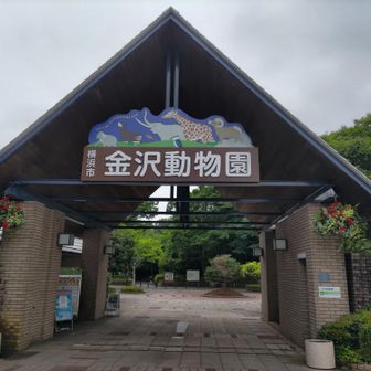 こちらの門の脇に綺麗な御手洗があります