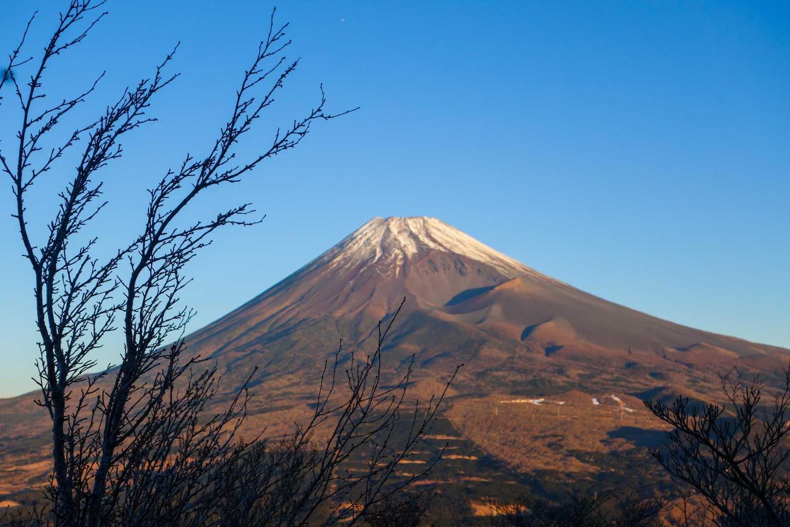 十里木-越前岳 往復コースの写真