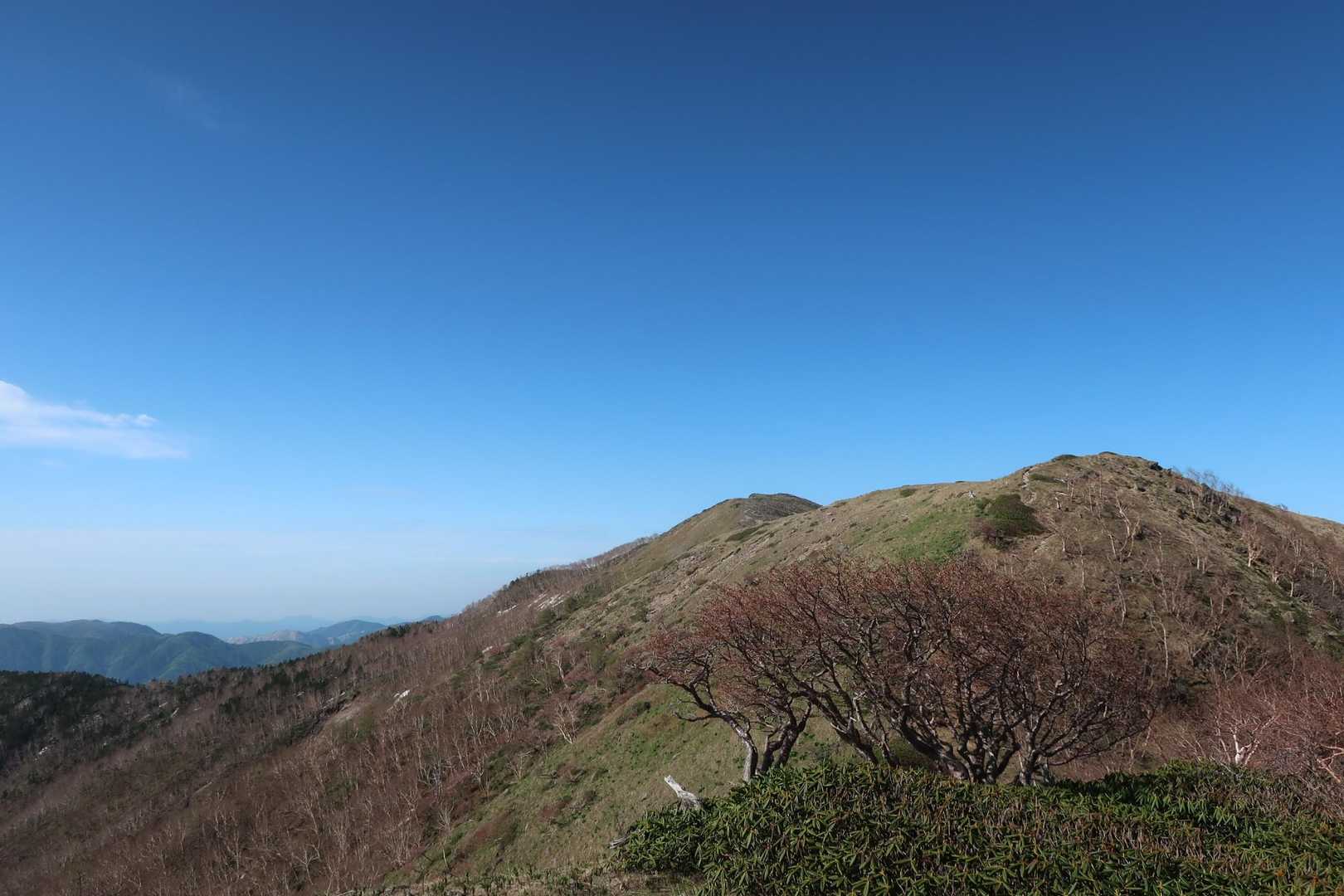 白錫尾根✨最幸🥰