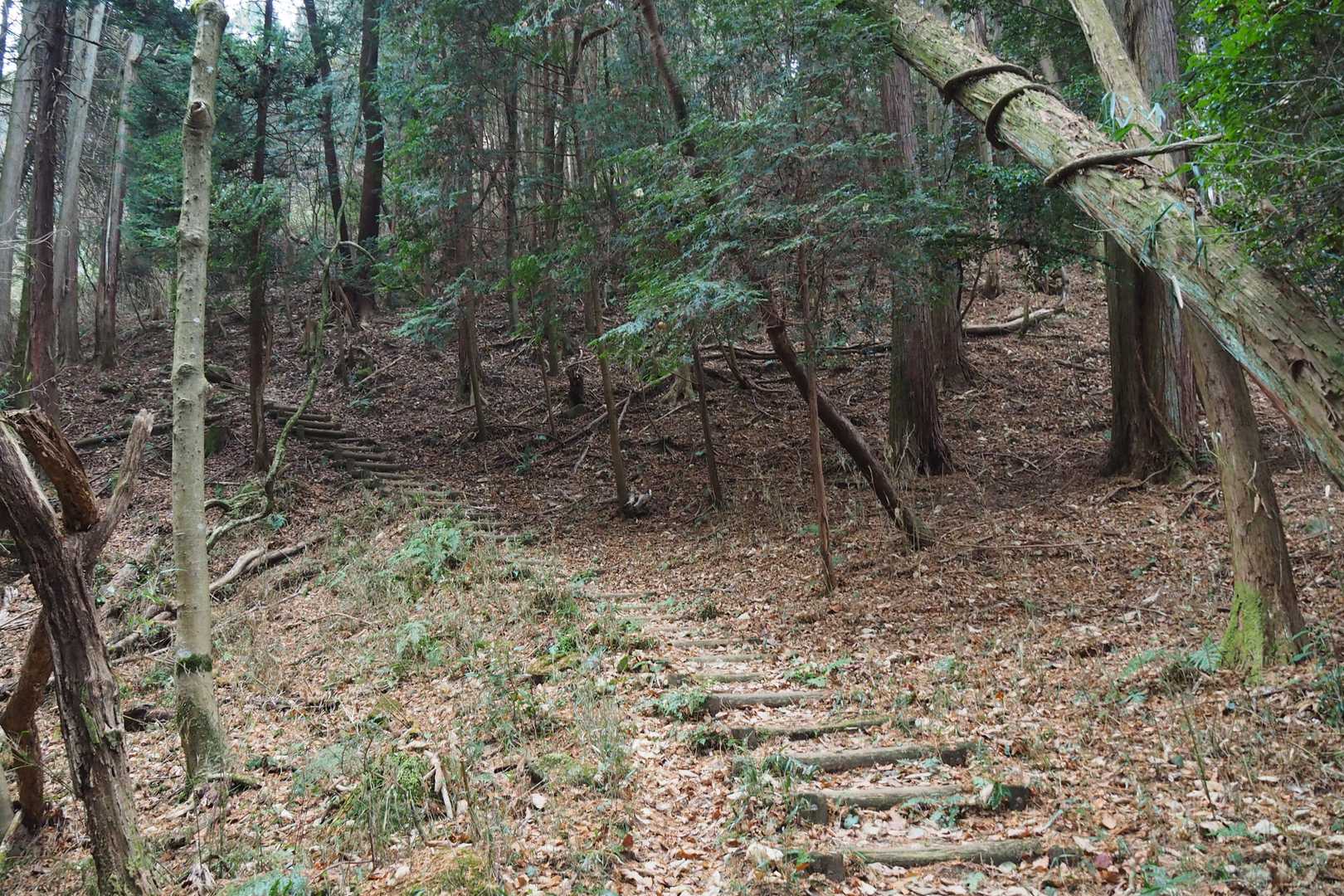 再びルートへ戻り