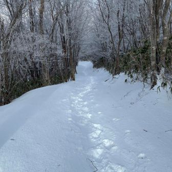 トレースは、自分一人。平日特典、静かな雰囲気が良い。