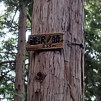 逆沢の頭