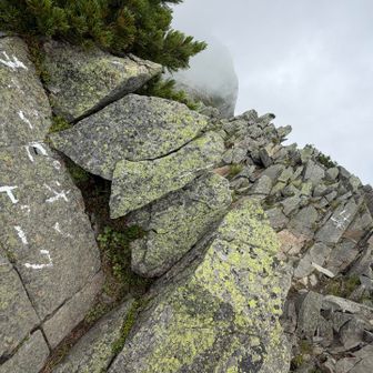 登りでは見つけられなかった
岩に書かれたチャンピオンピーク！