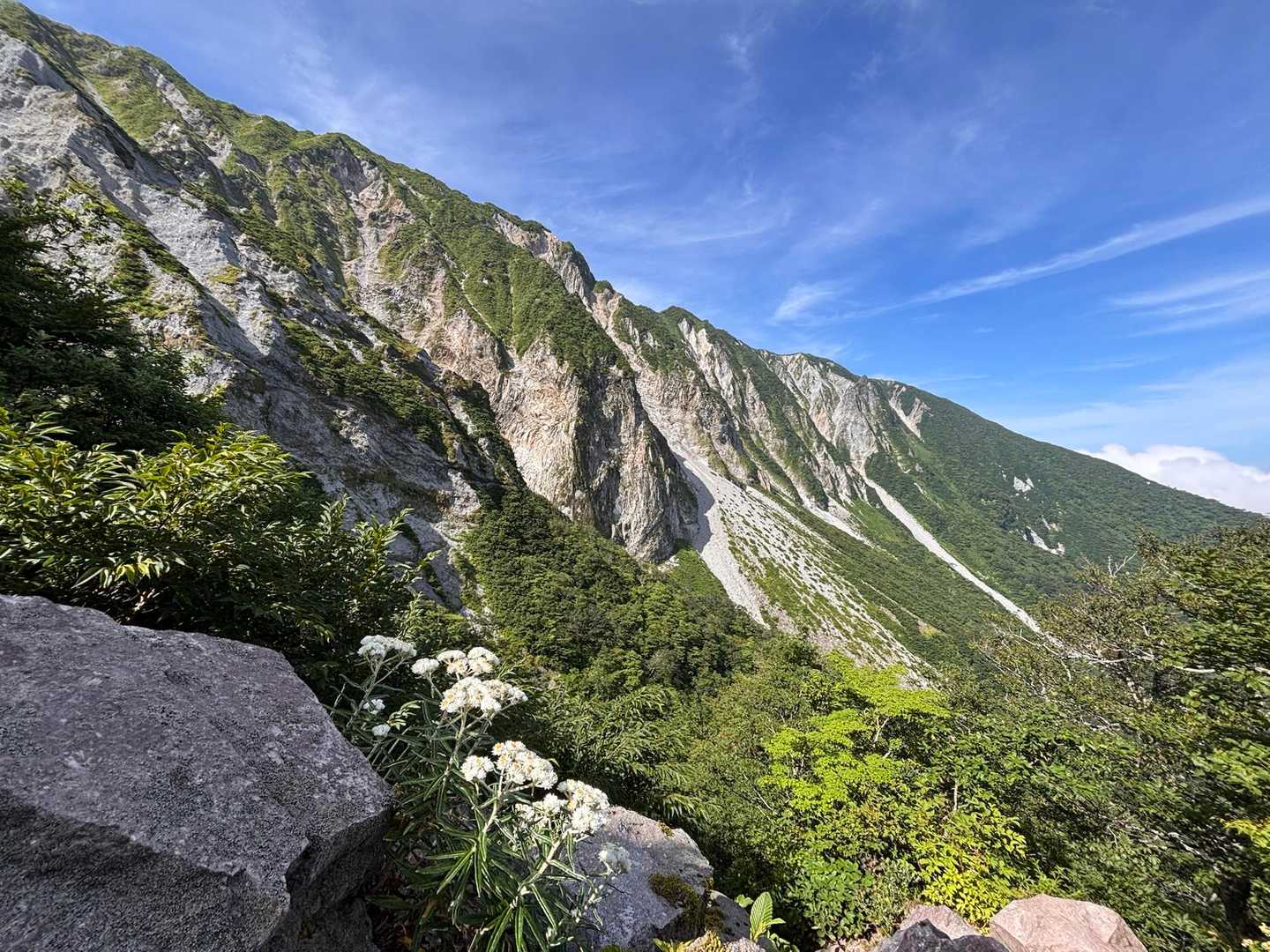 三鈷峰・象ヶ鼻往復 | 大山北壁を間近に望む、静かなユートピアの道の写真