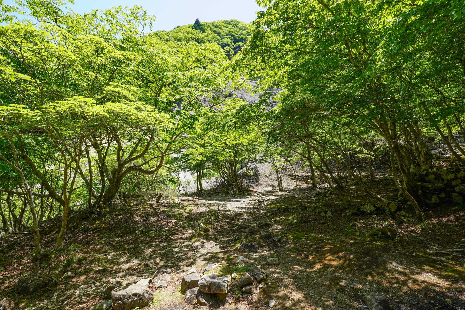 杉峠を少し下ったところにあるテント泊適地．以前ここで泊まった山行の思い出をあきさんと懐かしみました．