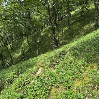 下山しまーす
