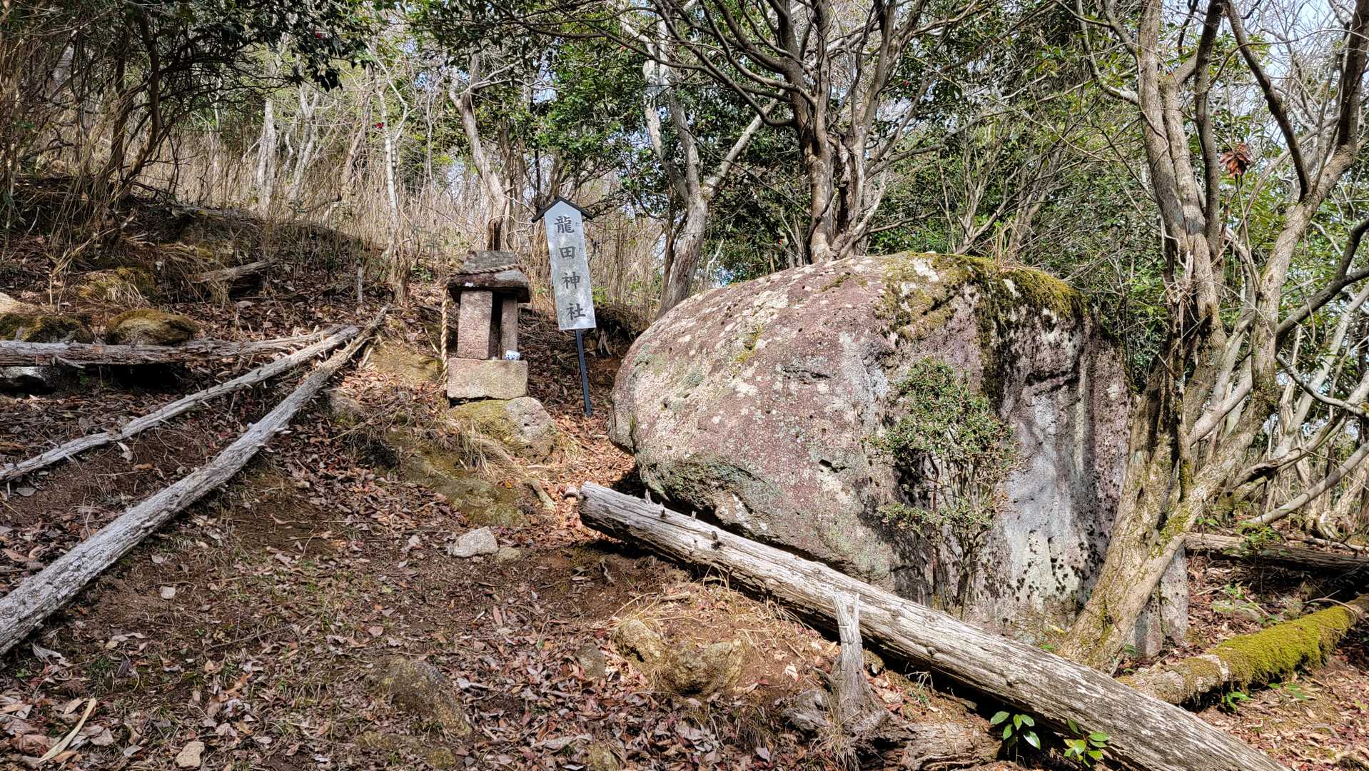 宝山 往復コースの写真