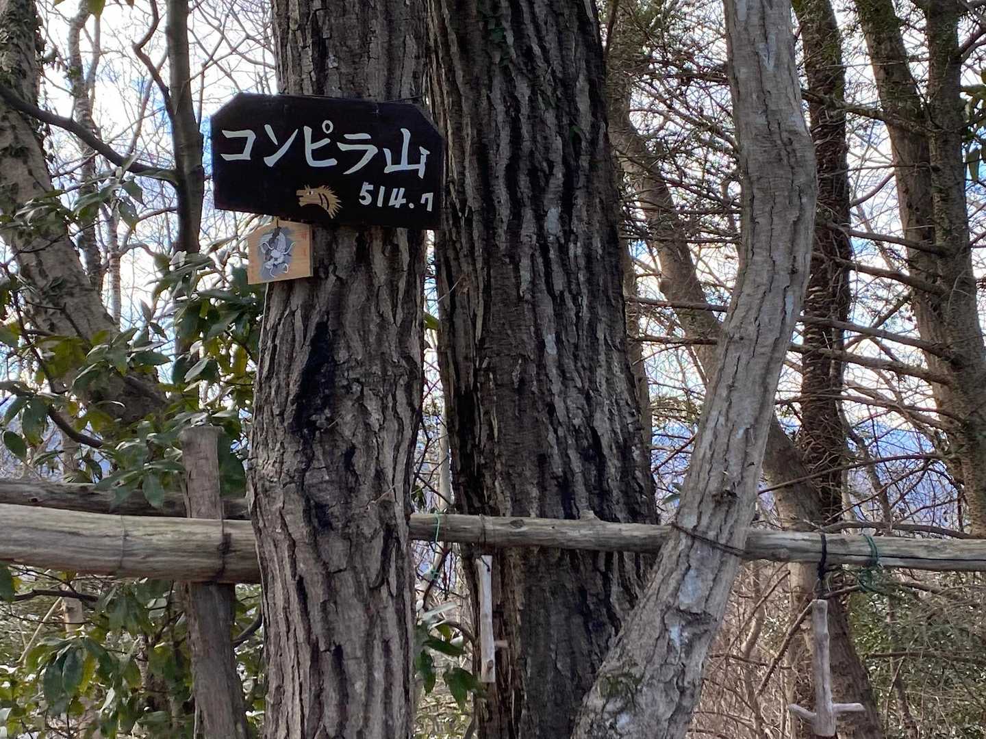 榎窪山-三沢峠-泰光寺山-西山峠-中沢山-中沢峠-大洞山 往復コースの写真