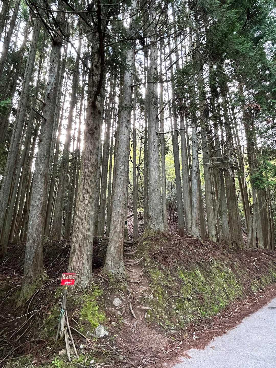 登山口