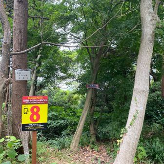 折り返して、再度松尾山。
別な山頂名板。
レスキューポイントNo.が目立っていました。
良いね。👍
