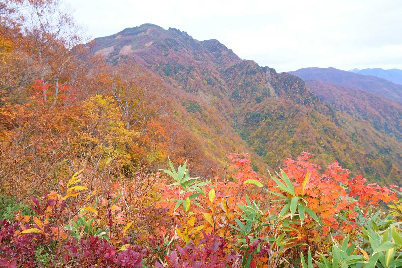 紅葉ごしの八海山
いつか八ッ峰も超えてみたいですね
