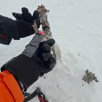 西吾妻ピークトウチャコ、時折...風速15m以上、ここら辺軽くホワイトアウト気味⚠️