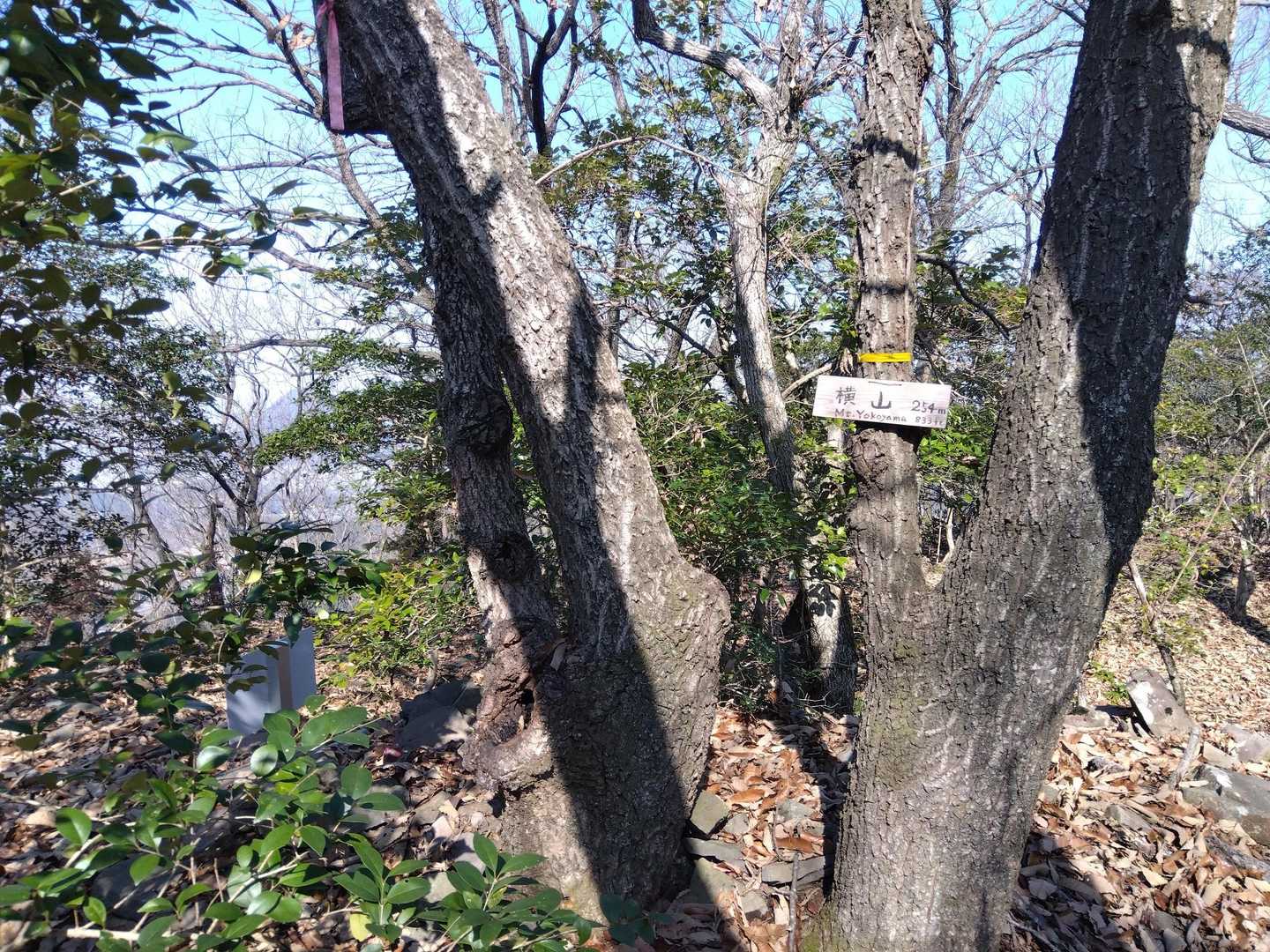 横山山頂到着。