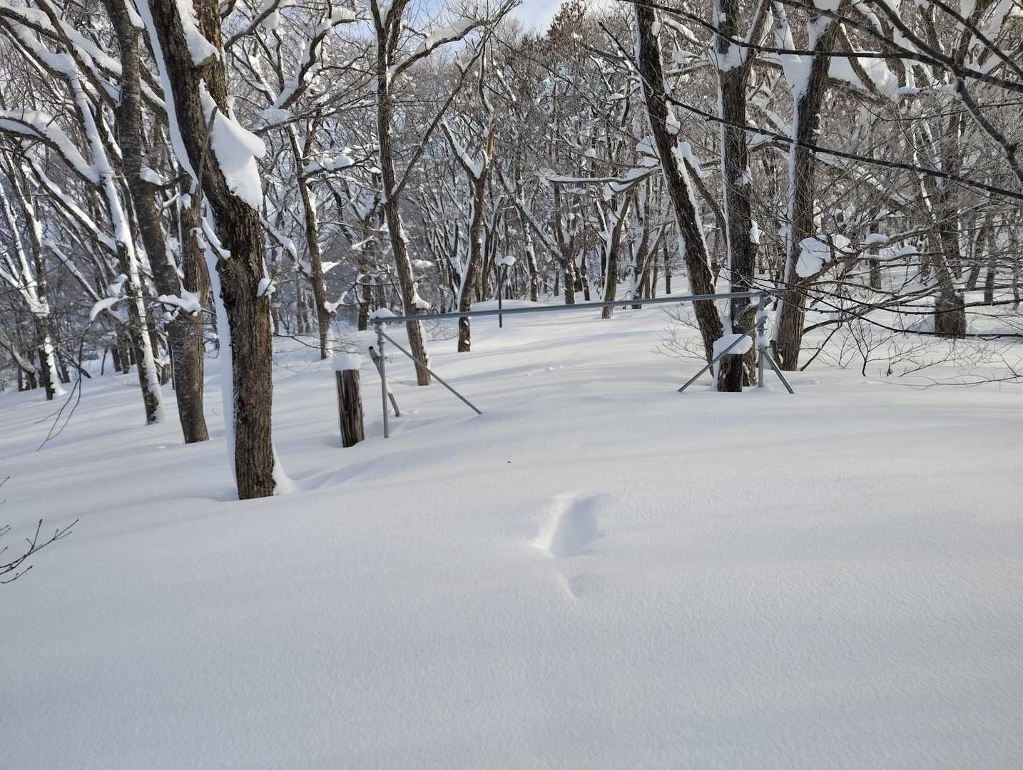 トレース無し。