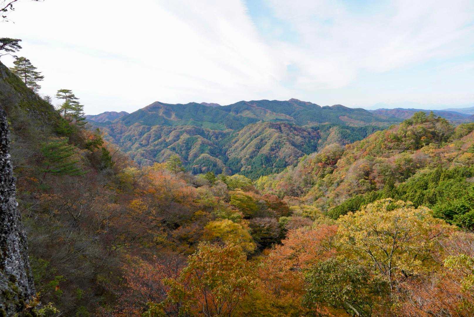 絶景👍