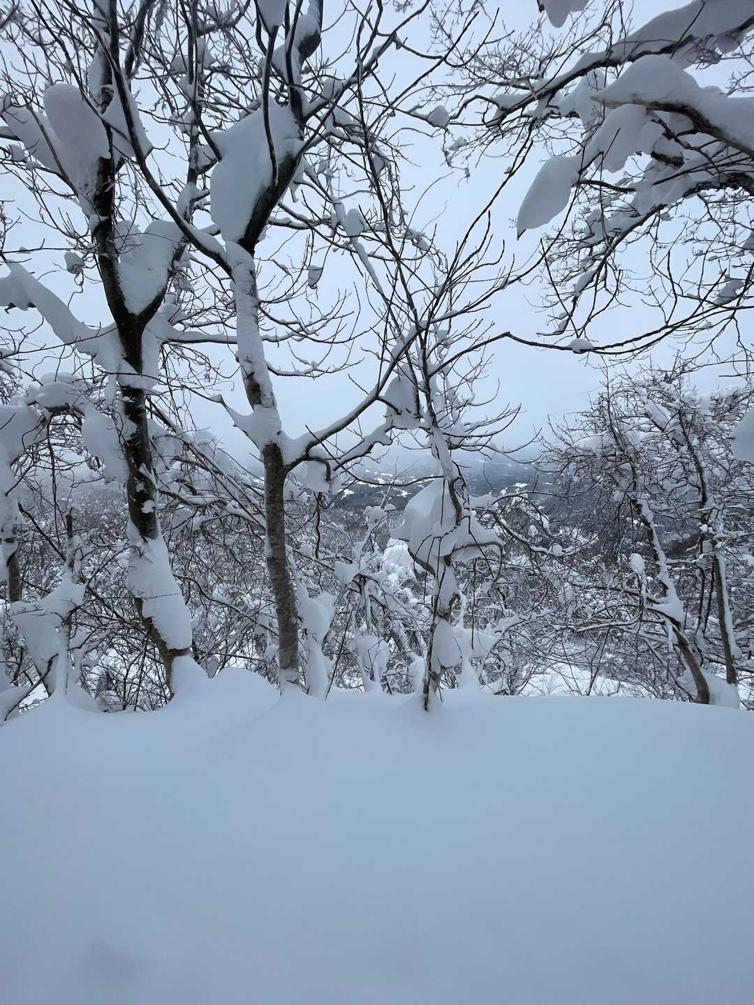 見上峠-白兀山 往復コースの写真