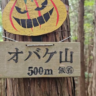 可愛い‼️
ジャスト500メートル