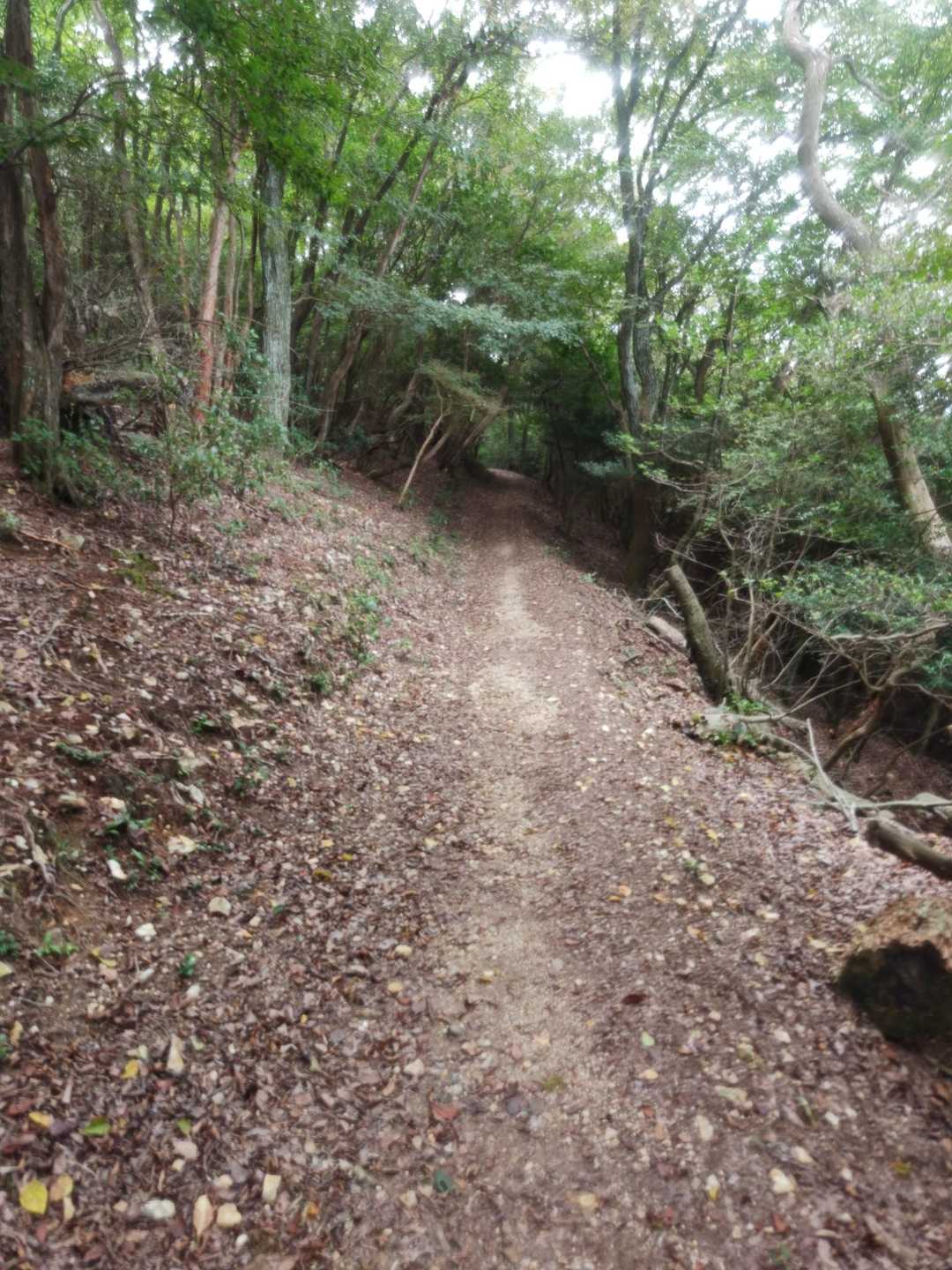 音羽山-法嚴寺-高塚山-醍醐駅 縦走コースの写真