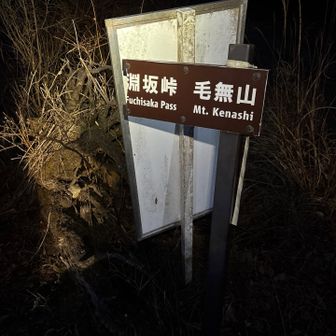 なかなか暗いっすね