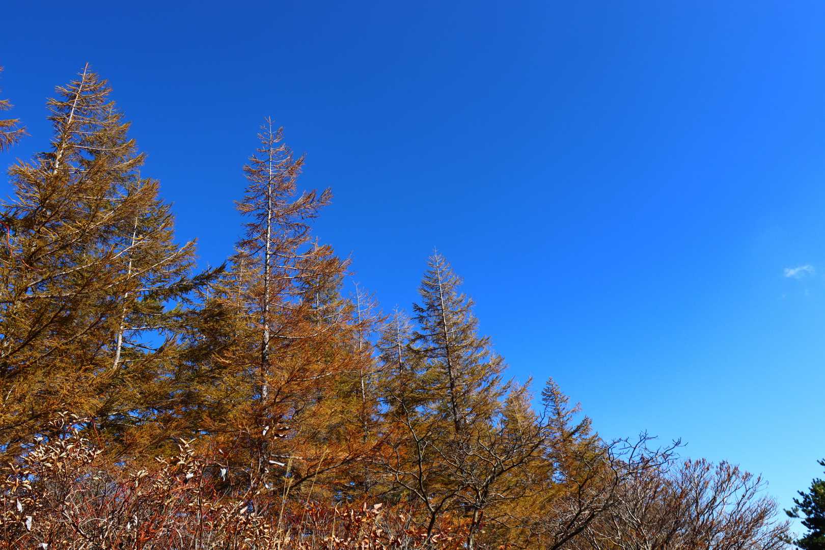 ずっと青空でした。