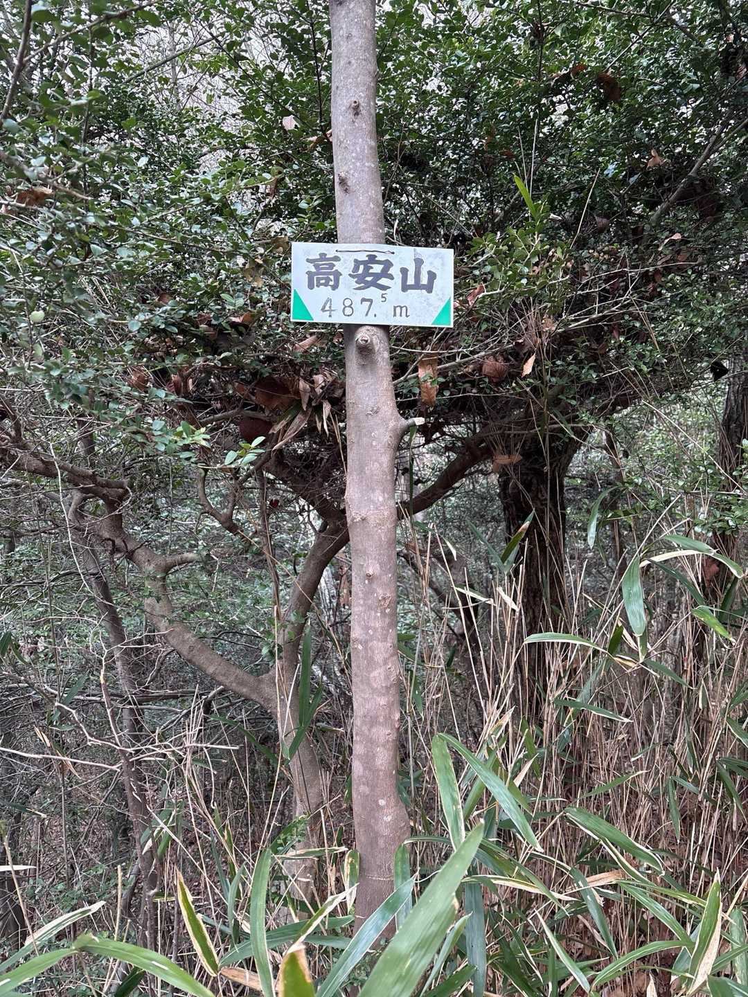 眺望無し