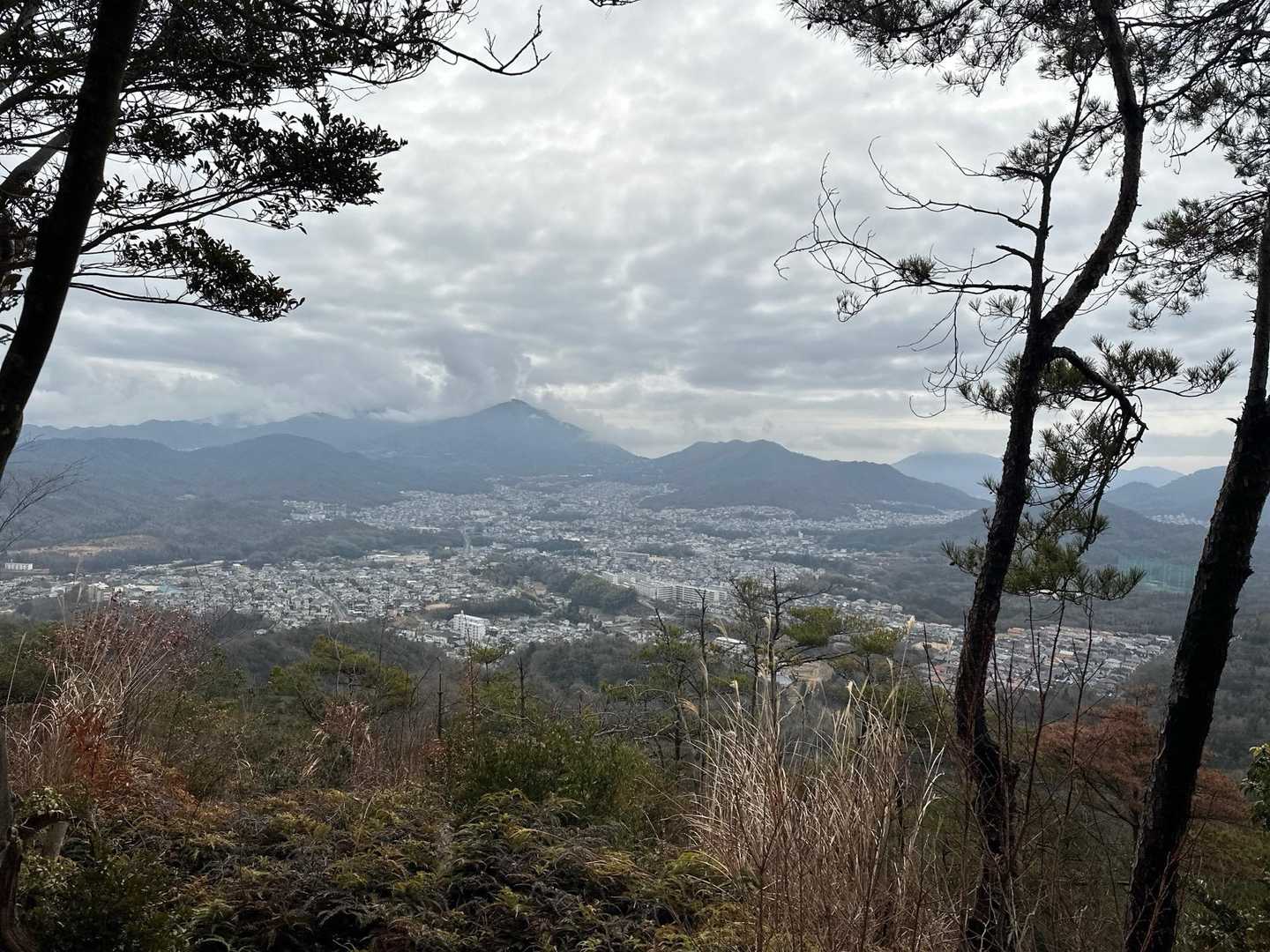 宮ヶ迫山-中野山 往復コースの写真