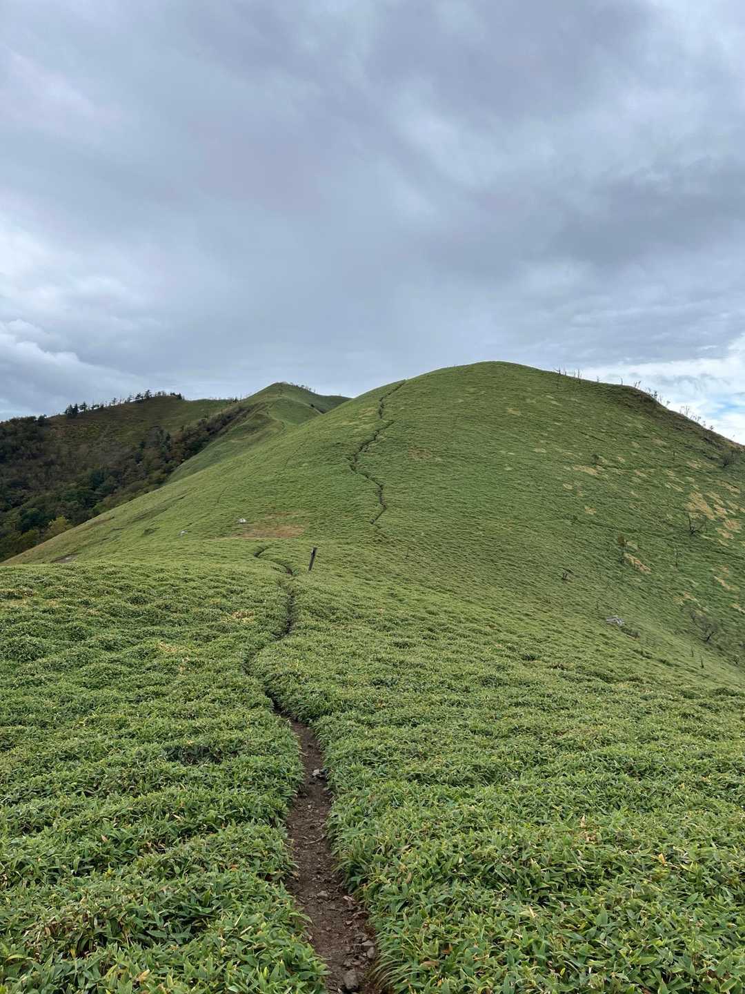 見ノ越登山口-剣山-ジロウギュウ峠-次郎笈-丸石 縦走コースの写真