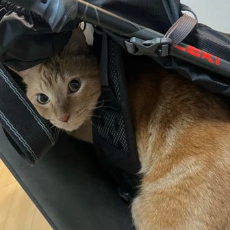 田舎っ子 │ inakakko