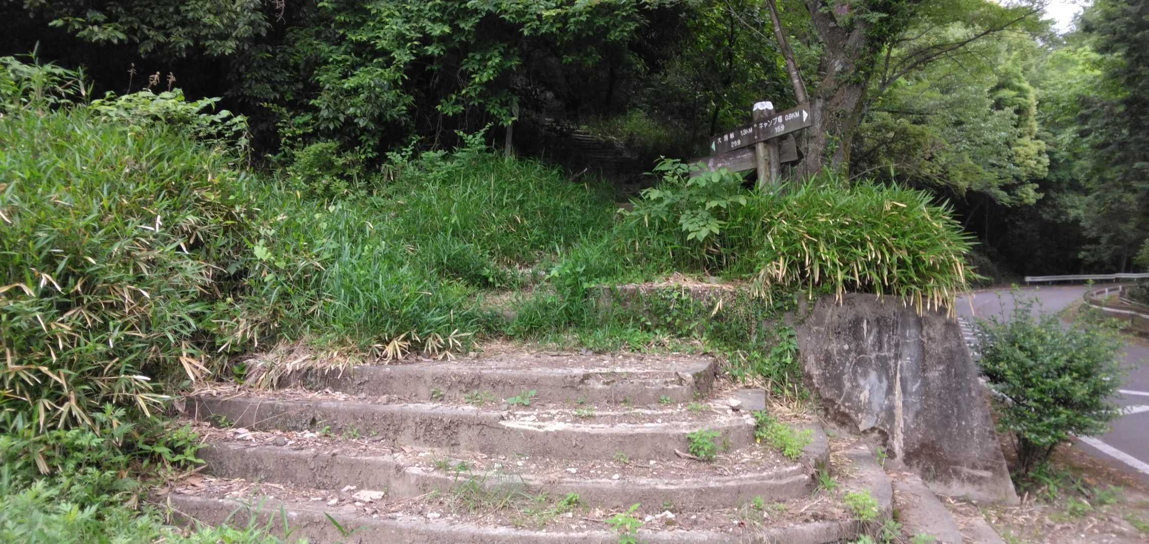 高根山-山星山 往復コースの写真