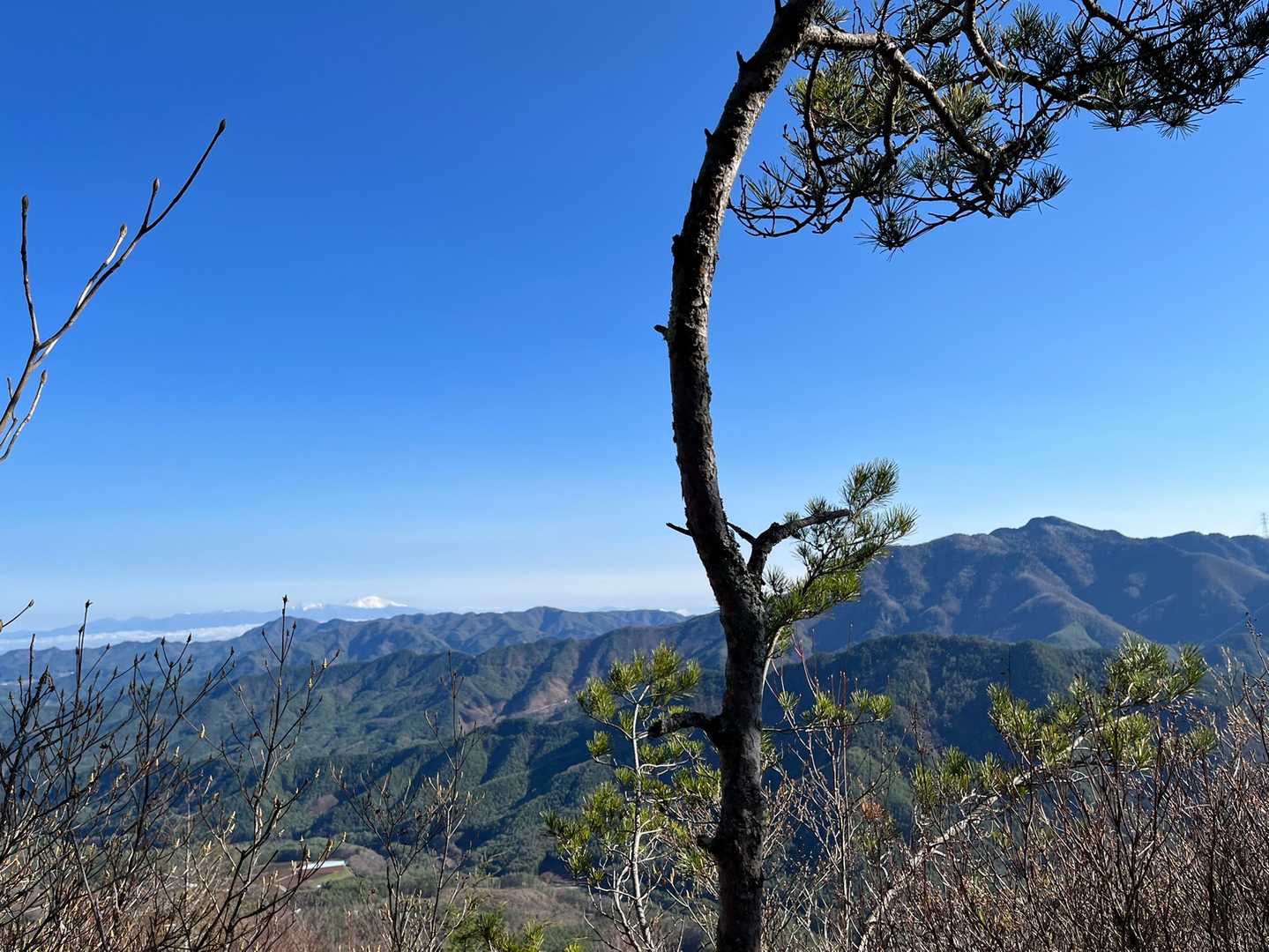 急登登り切ると、いきなり良い景色✨
木を挟んで右が御座山、左奥の白いのが浅間山、その手前左の高い山が茂来山