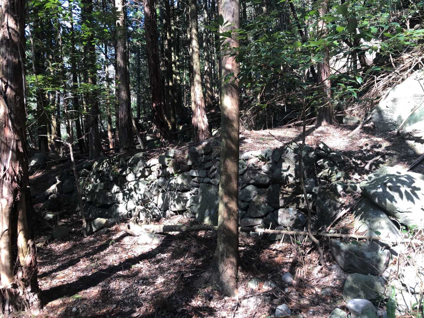 登山口の前まで石垣が多いです！